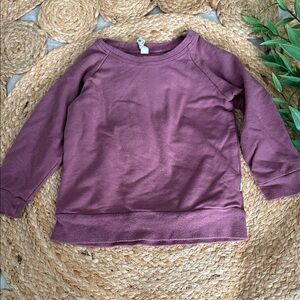Babysprouts 2t Sweatshirt Mauve bamboo.